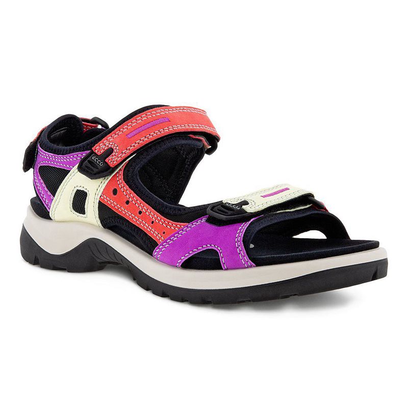 Sandalias Ecco Offroad Para Mujer,Multicolor,364897-QBC